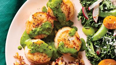 Seared Scallops with Pesto Sauce