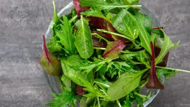 Salad Greens