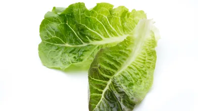 Lettuce for Wraps 