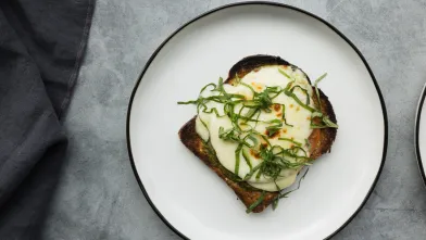 One slice of broiled tomato and cheese toast