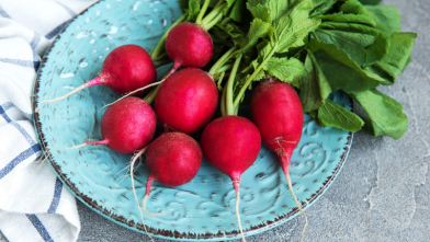 Everything You Need to Know About Radishes