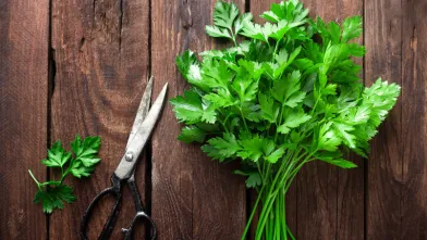 Everything You Need to Know About Parsley