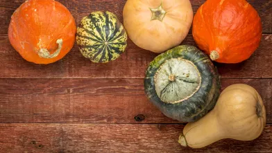 Ways to Eat Winter Squash
