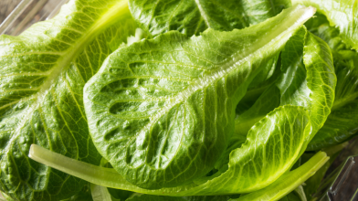 Romaine Lettuce