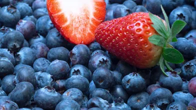 Berry Salsa