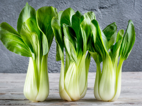 Everything You Need to Know About Bok Choy