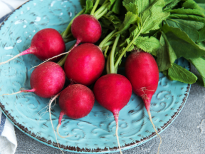 Everything You Need to Know About Radishes