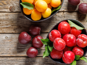 Everything You Need to Know About Plums