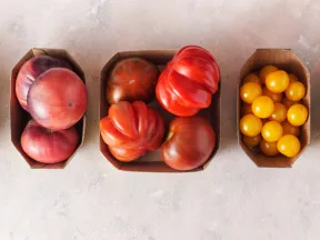 The Many Types of Tomatoes