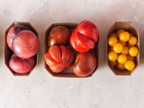 The Many Types of Tomatoes