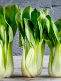 Everything You Need to Know About Bok Choy