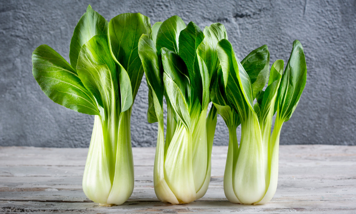 Everything You Need to Know About Bok Choy