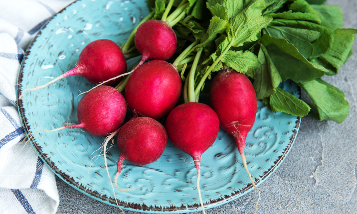 Everything You Need to Know About Radishes