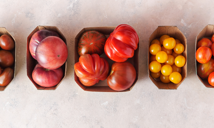 The Many Types of Tomatoes