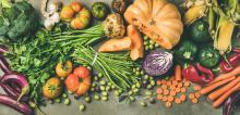 Array of fresh fall vegetables