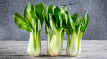 Everything You Need to Know About Bok Choy