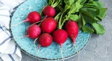 Everything You Need to Know About Radishes