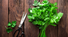 Everything You Need to Know About Parsley