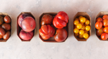 The Many Types of Tomatoes