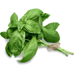 basil.png