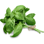 basil.png