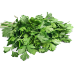 cilantro.png