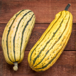 delicata.png