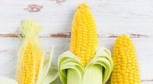 What's in Season: Fresh Corn