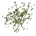 thyme.png
