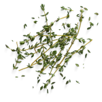 thyme.png