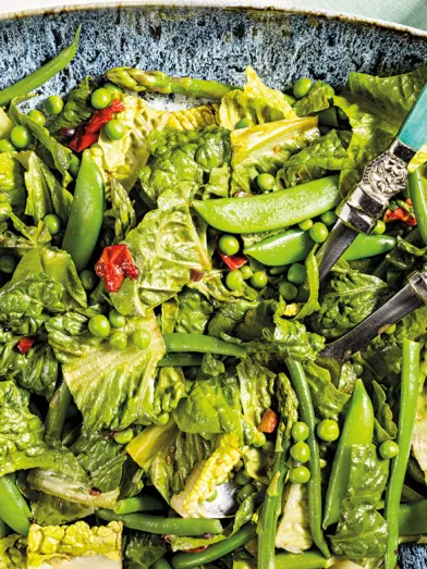 Spring Vegetable Salad with Tomato Vinaigrette