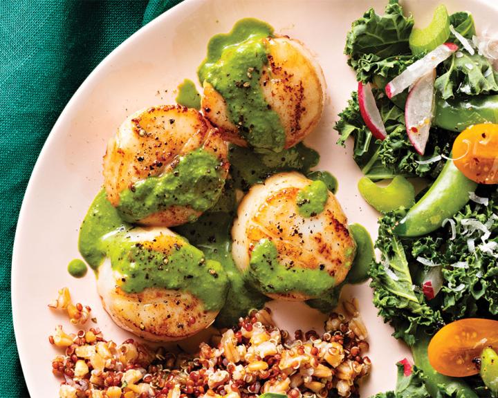 Seared Scallops with Pesto Sauce