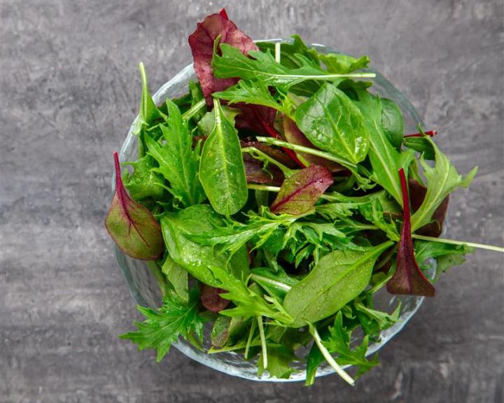 Salad Greens