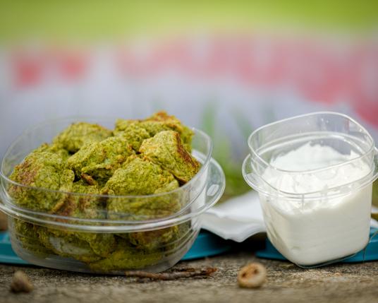 Broccoli Cheese Bites