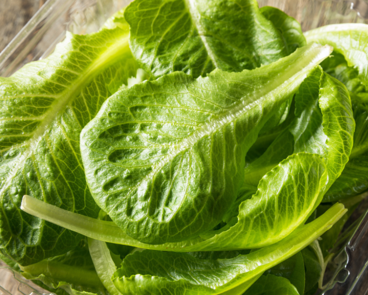 Romaine Lettuce